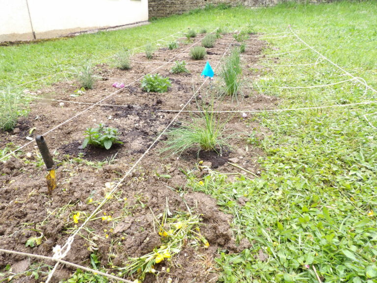 Le jardin partagé de Montgesoye