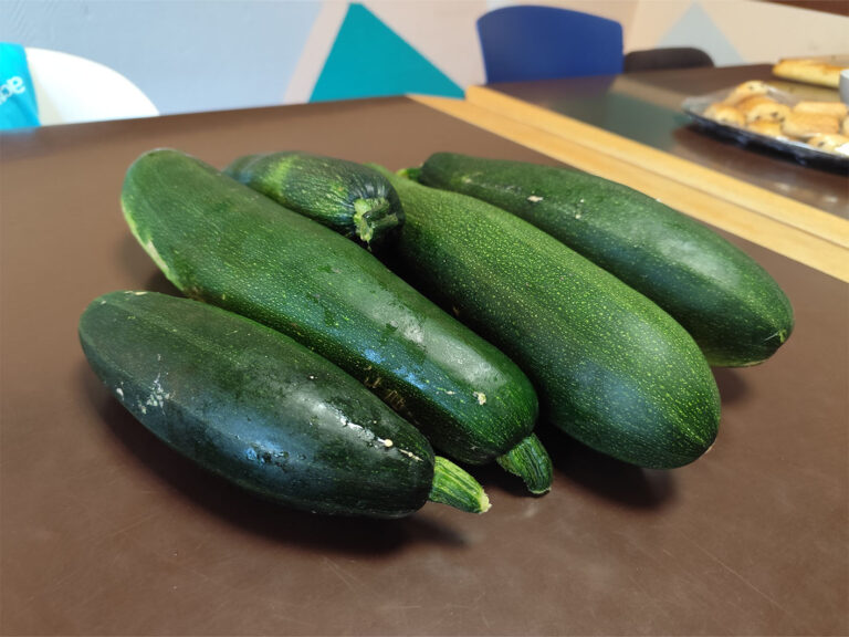 Les belles courgettes