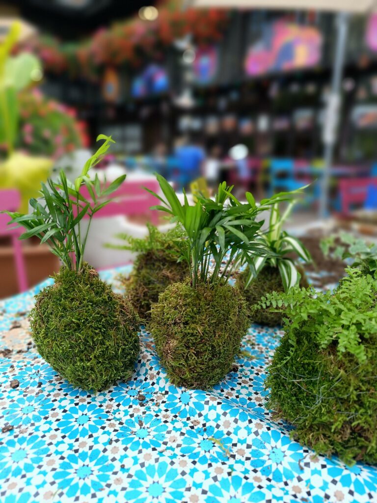 Création de kokedama