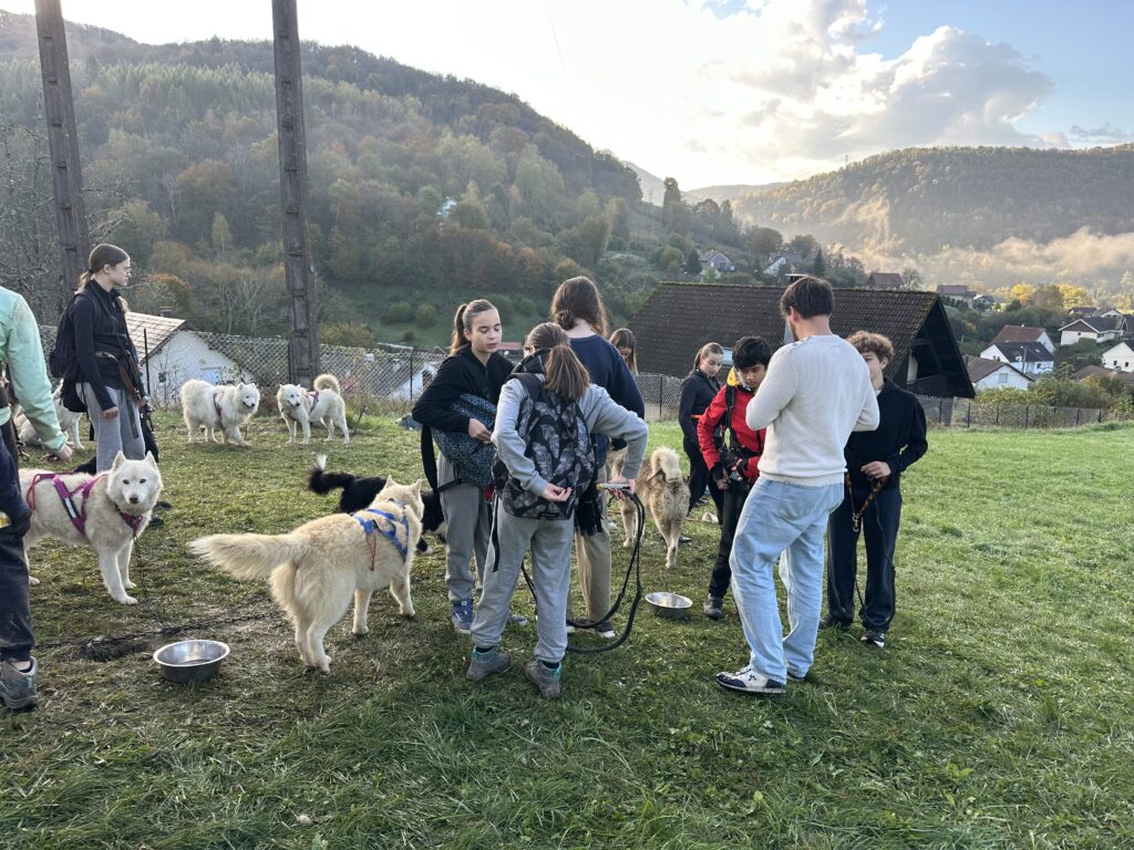 Automne 2024 - cani rando à Montgesoye