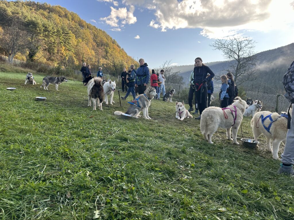 Automne 2024 - cani rando à Montgesoye