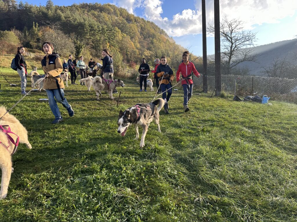 Automne 2024 - cani rando à Montgesoye