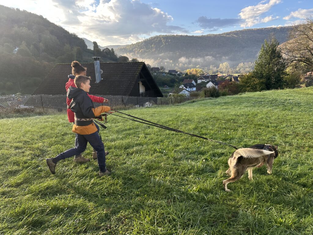 Automne 2024 - cani rando à Montgesoye