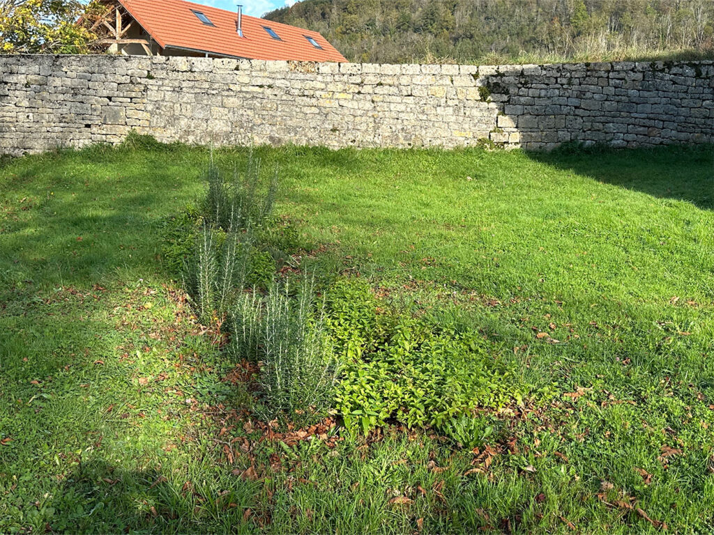 jardin partagé - Montgesoye - Automne 2024