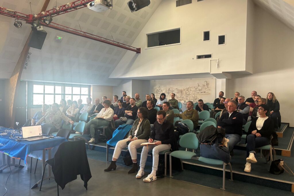 Pregnant woman exercising with dumbbells isolated on white backg