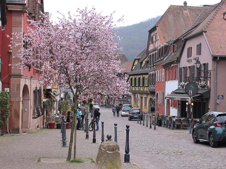 kb fete le printemps 26 _0018_IMG_7389